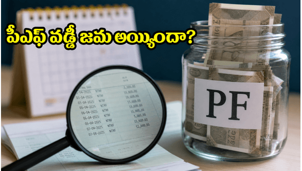 EPFO 8.25% Interest Credit 2026: How to Check Your PF Balance and Account Status Online Easily