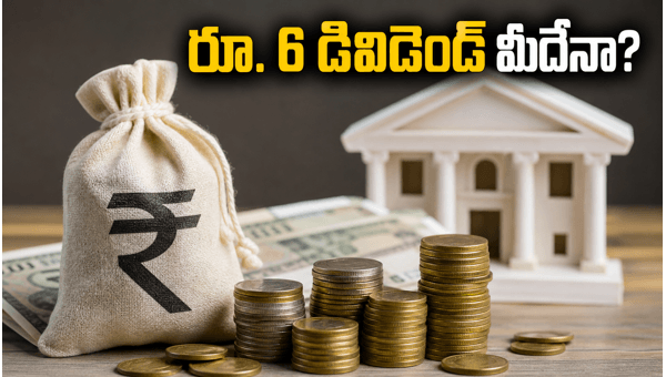 LIC Dividend 2024: Check Ex-Dividend Date, Record Date, and Eligibility for Rs 6 Payout