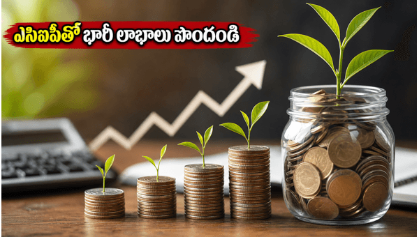 SIP Mutual Funds Growth 2026: How to Maximize Returns and Manage Your Portfolio Effectively