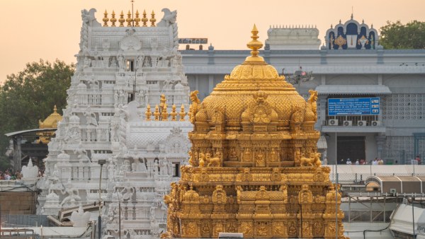 Tirumala Tirupati TTD free darshan tokens SSD tokens Tirumala darshan Lord Venkateswara Tirumala devotees TTD update Tirupati news darshan token timings free darshan divya darshan Srivari darshan Tirumala pilgrimage TTD latest news Srinivasam Vishnu Nivasam Bhudevi Complex Tirumala token booking TTD SSD TTD