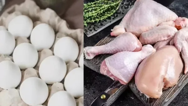 chicken chicken