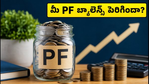 EPF Interest Rate 2023-24: How to Check Your 8.25% PF Balance and Account Status EPF Interest Rate 2023-24: How to Check Your 8.25% PF Balance and Account Status