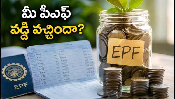 EPF Interest Rate 8.25% for FY26: How to Check Your PF Account Status Online EPF Interest Rate 8.25% for FY26: How to Check Your PF Account Status Online