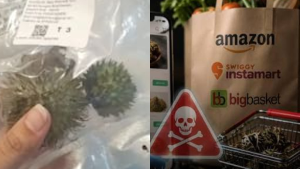 Amazon food licence Instamart food licence BigBasket food licence datura sales Karnataka Karnataka datura controversy online food licence cancellation ecommerce crackdown Karnataka latest news Amazon news Instamart news BigBasket news food safety action datura sale case online sales crackdown