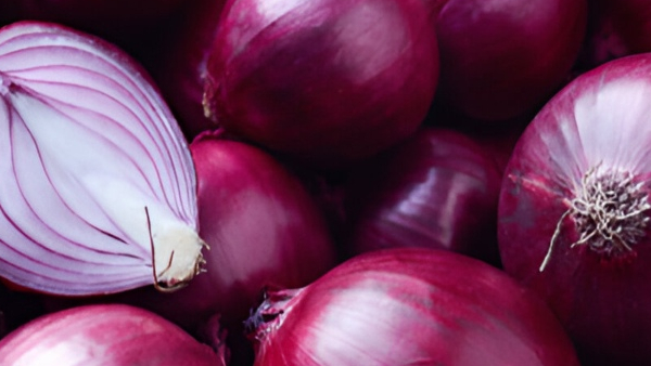 Onion Price Onion Price