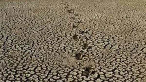 Andhra Pradesh AP News AP Drought Drought-Hit Mandals 388 Mandals 21 Districts Andhra Pradesh Government Drought Situation Rainfall Deficit AP Farmers Drought-Affected Areas Agriculture News Crop Loss Andhra Pradesh Drought Update AP Government Announcement 388 21 AP Drought Andhra Pradesh AP News AP Drought Drought-Hit Mandals 388 Mandals 21 Districts Andhra Pradesh Government Drought Situation Rainfall Deficit AP Farmers Drought-Affected Areas Agriculture News Crop Loss Andhra Pradesh Drought Update AP Government Announcement 388 21 AP Drought