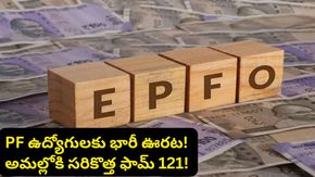 EPFO కీలక నిర్ణయం.. పాత ఫామ్స్ రద్దు.. అమల్లోకి వచ్చిన 'ఫామ్ 121'.. ఎవరికి లాభం అంటే?