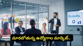 సాఫ్ట్‌వేర్ ఉద్యోగాలపై ‘AI' దెబ్బ.. మధ్యతరగతి కుటుంబాలు మారకపోతే కష్టమే! నిపుణుల హెచ్చరిక!