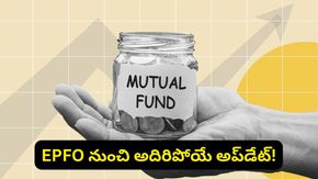 మార్కెట్లో ఒడిదొడుకులు.. మల్టీక్యాప్ వర్సెస్ ఫ్లెక్సీక్యాప్ మ్యూచువల్ ఫండ్స్‌లో ఏది బెస్ట్?