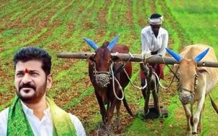 Rythu Bharosa: రైతులకు గుడ్ న్యూస్.. ఒకే విడతలో రైతు భరోసా నిధులు విడుదల..!