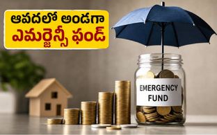 Emergency Fund:  అత్యవసర నిధిని ఎక్కడ పెట్టుబడి పెట్టాలి..!