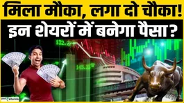 Share Market Update: Buy in a falling market, will the top 5 stocks make you earn?