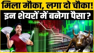 Share Market Update: Buy in a falling market, will the top 5 stocks make you earn?