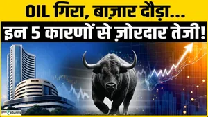 Share Market Rally: A bull run has begun! Sensex and Nifty 50 surge, making investors rich!