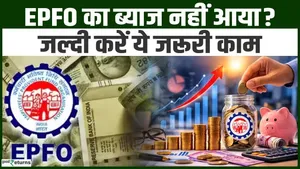 EPFO Interest Credit: Haven't Received Interest in Your EPFO Account Yet? Here's What You Should Do