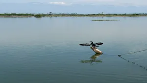 Anand Mahindras Visit In His Thar To Kadamakkudy A Kerala Village Makes Happy Ripples On X 1475537.html