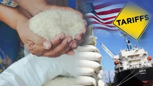Rice Exporters Welcome Us Tariff Cut To 18 Percent Seek Waiver On Russia Oil Penalty 1486559.html