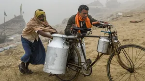 Milk Price Hike Ahead Of Ugadi Komul Raises Procurement Rate To Rs 39 85 Litre Farmers To Benefit 1496797.html