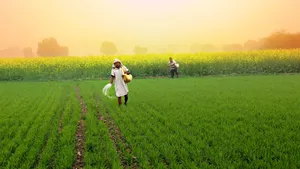 Fertilizer Stocks Cabinet Hikes Nutrient Based Subsidy Nbs Rates Kharif Season 2026 Tata Chemicals 1501255.html