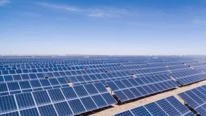 Vikram Solar Vs Waaree Vs Genus Power Vs Fujiyama Which Is The Best Solar Stock In 2026 For Investo 1513165.html