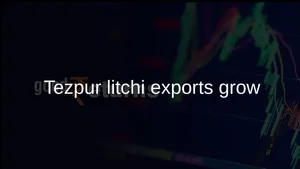 Tezpur Gi Tagged Litchi Festival 2026 Export Initiatives Dubai Singapore 011 1513653.html
