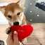 ACHI