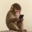 FONE