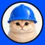 BASECAT