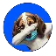 $HOUND
