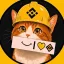 BNBCAT