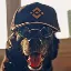BINANCEDOG