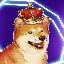BNBDOGE