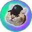 SOLCAT