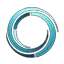 CSWAP