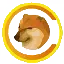 CHEEMS