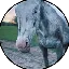 CHEYENNE