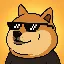 DANKDOGE