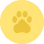 DXCT