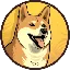 DOGE20