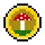 FUNGI