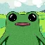 FWOG