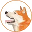 HACHI