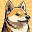 HACHI