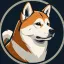 $HACHI