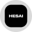 HSAIon