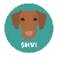 HVI