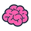 IQ