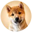 MEEKO