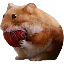 NOMNOM