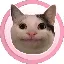 POCAT